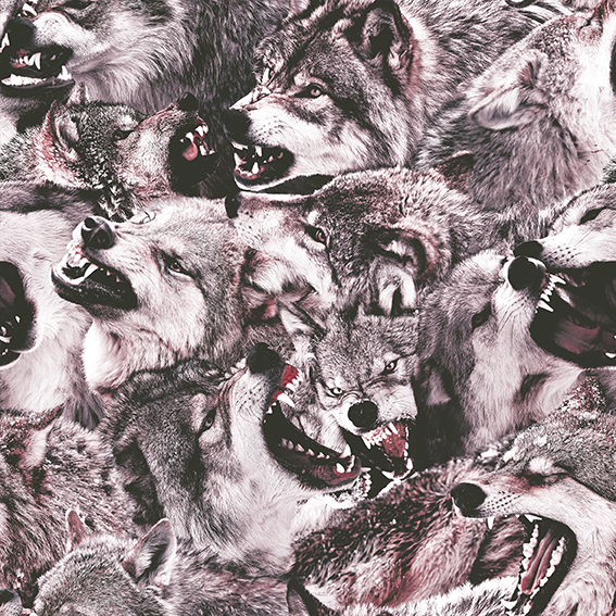 Onemanshow AW15: Wolfpack